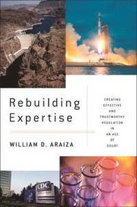 bokomslag Rebuilding Expertise