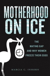 bokomslag Motherhood on Ice