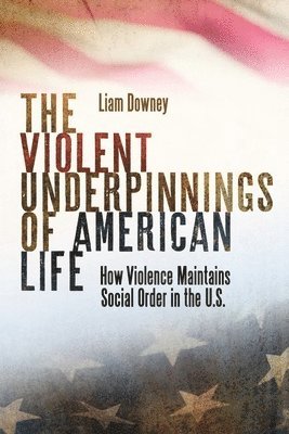 Liam Downey - Violent Underpinnings of American Life, Inbunden