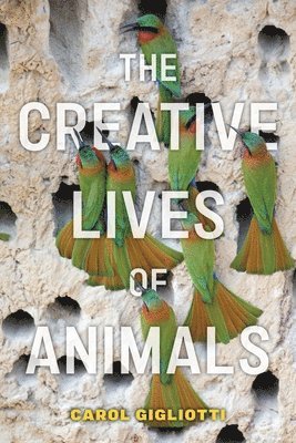 bokomslag Creative Lives of Animals