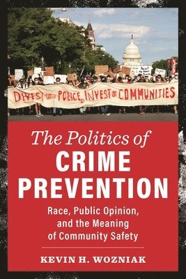 bokomslag Politics of Crime Prevention