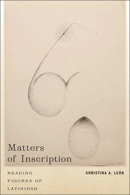 bokomslag Matters of Inscription