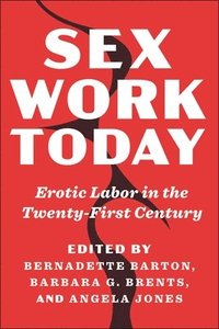 bokomslag Sex Work Today