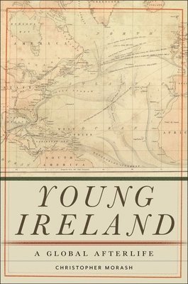 bokomslag Young Ireland