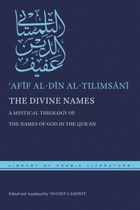 bokomslag The Divine Names