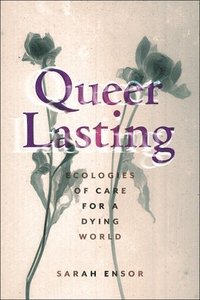 bokomslag Queer Lasting
