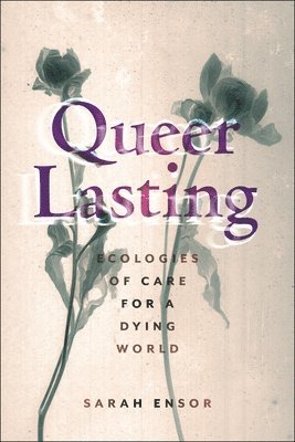 Queer Lasting 1