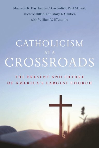 Maureen K. Day, James C. Cavendish, Paul M. Perl, Michele Dillon, Mary L. Gautier, William V. D'Antonio - Catholicism at a Crossroads, Häftad