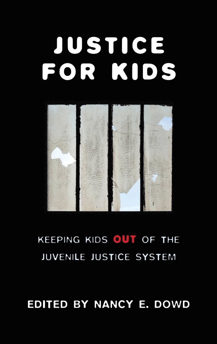 Nancy E. Dowd, Nancy E Dowd - Justice for Kids, Häftad