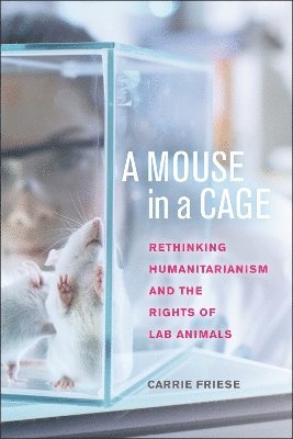 A Mouse in a Cage 1