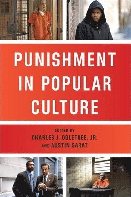 Austin Sarat, Charles J. Ogletree Jr., Austin Sarat, Charles J. Ogletree Jr, Charles J. Ogletree, Jr., Charles J Ogletree Jr - Punishment in Popular Culture, Häftad