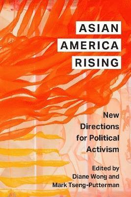 bokomslag Asian America Rising