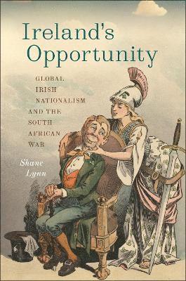 bokomslag Ireland's Opportunity