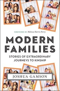 bokomslag Modern Families