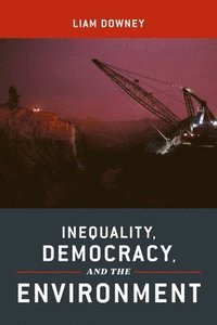 bokomslag Inequality, Democracy, and the Environment