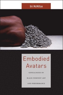 bokomslag Embodied Avatars