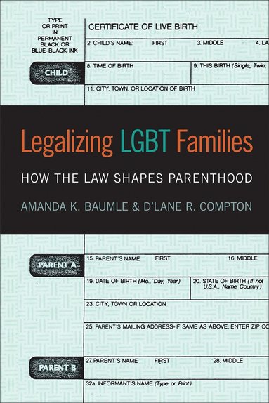 bokomslag Legalizing LGBT Families