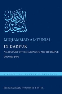 bokomslag In Darfur