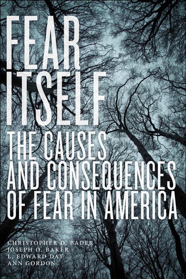 Christopher D. Bader, Joseph O. Baker, L. Edward Day, Ann Gordon - Fear Itself, Häftad