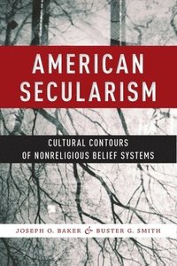 bokomslag American Secularism