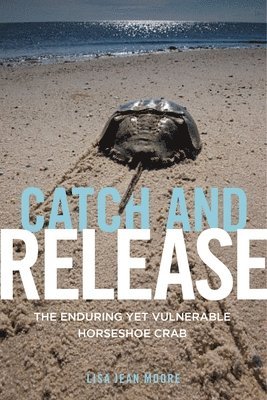 Catch and Release 1