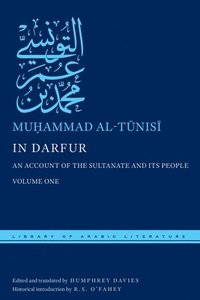 bokomslag In Darfur