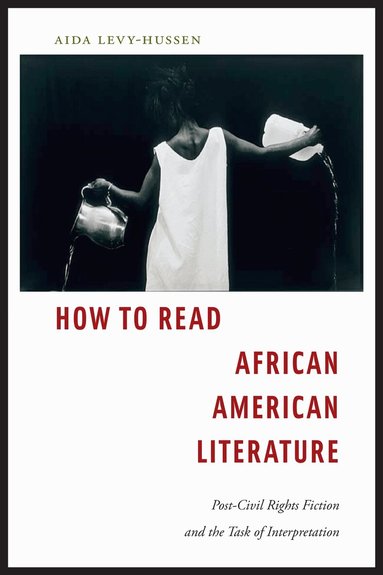Aida Levy-Hussen - How to Read African American Literature, Häftad
