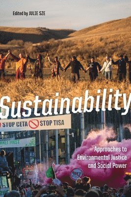 bokomslag Sustainability