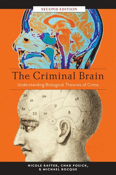 bokomslag Criminal Brain