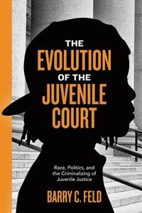 bokomslag The Evolution of the Juvenile Court