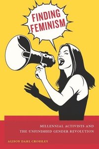 bokomslag Finding Feminism