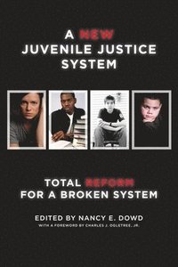 bokomslag A New Juvenile Justice System