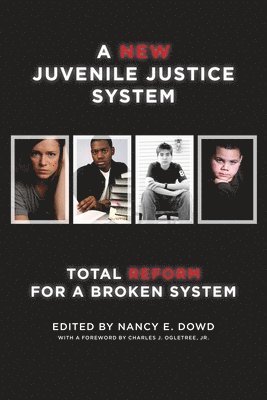 bokomslag A New Juvenile Justice System
