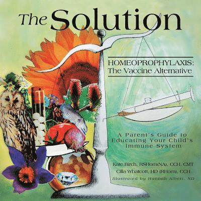 The Solution 1