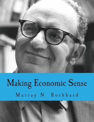bokomslag Making Economic Sense (Large Print Edition)