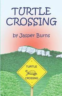 bokomslag Turtle Crossing