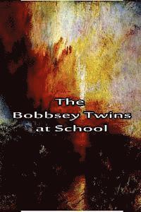 bokomslag The Bobbsey Twins at School