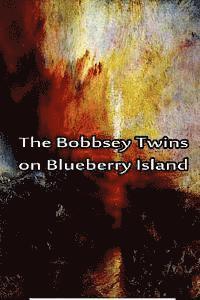 bokomslag The Bobbsey Twins On Blueberry Island