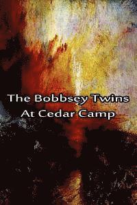 bokomslag The Bobbsey Twins At Cedar Camp