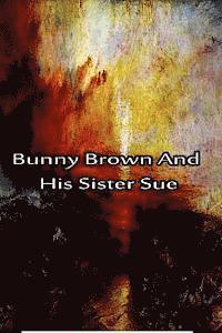 bokomslag Bunny Brown And His Sister Sue