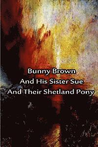 bokomslag Bunny Brown And His Sister Sue And Their Shetland Pony