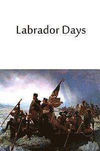 bokomslag Labrador Days
