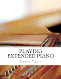 Playing Extended Piano 1