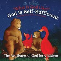 bokomslag God Is Self-Sufficient
