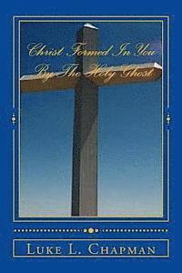 The Village Carpenter, Charles Lee Emerson - Christ Formed In You By The Holy Ghost, Häftad