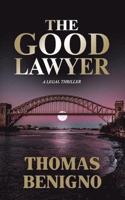 The Good Lawyer 1