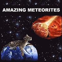 bokomslag Amazing Meteorites