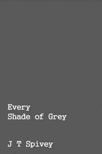 bokomslag Every Shade of Grey