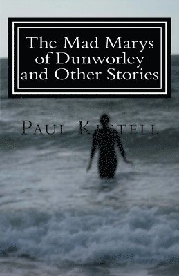 bokomslag The Mad Marys of Dunworley and Other Stories