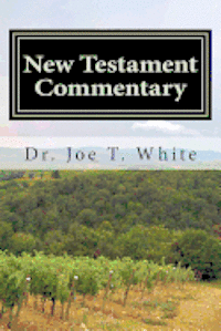 bokomslag New Testament Commentary: Mark and Luke